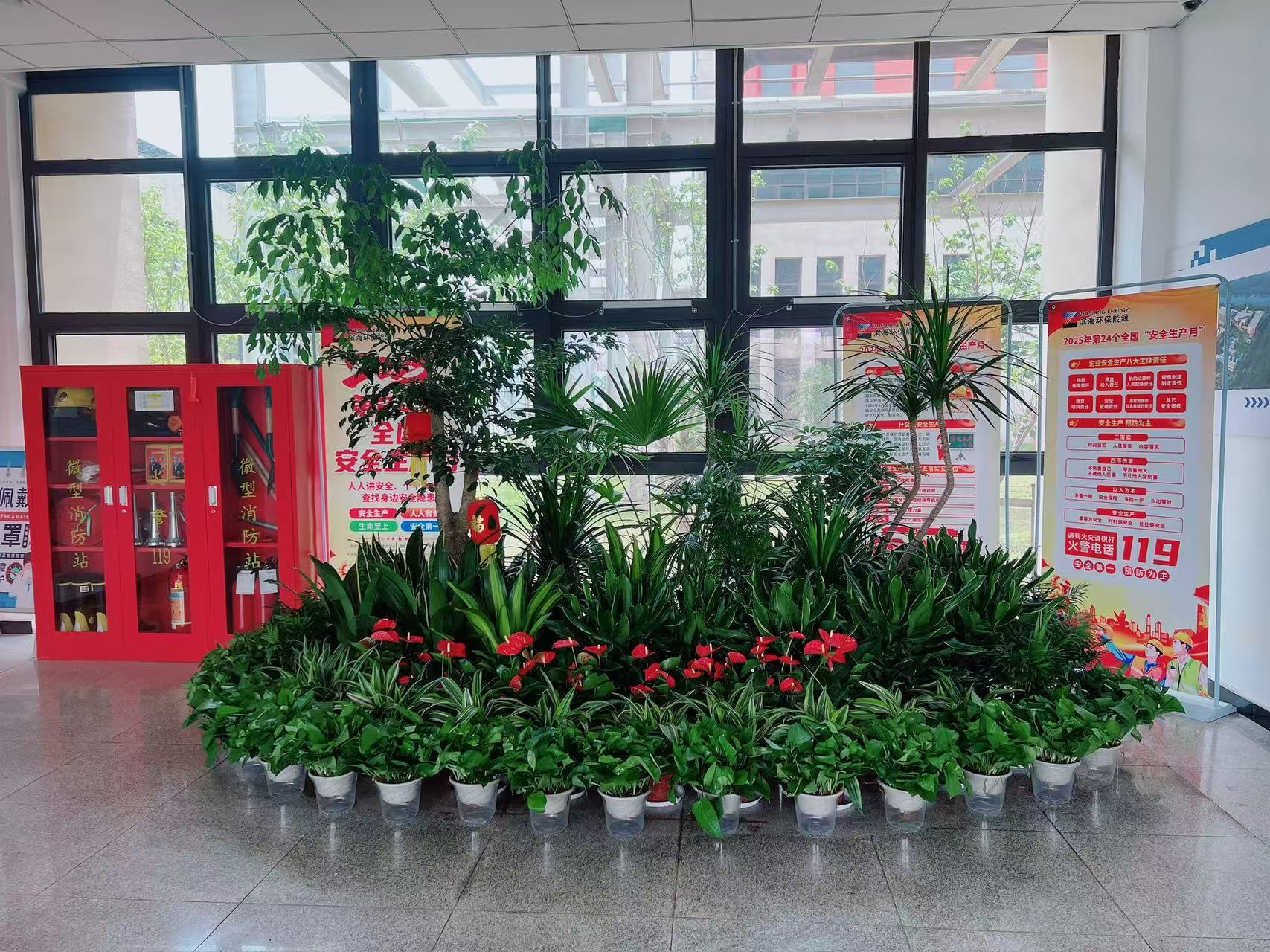 江北绿化修剪服务好 江北绿化修剪服务好